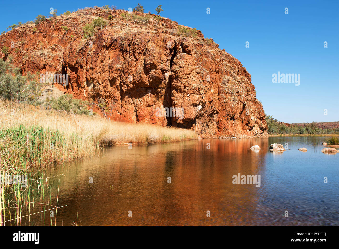 Glen Helen Gorge, MacDonnell Ranges, Territorio del Nord, l'Australia Foto Stock