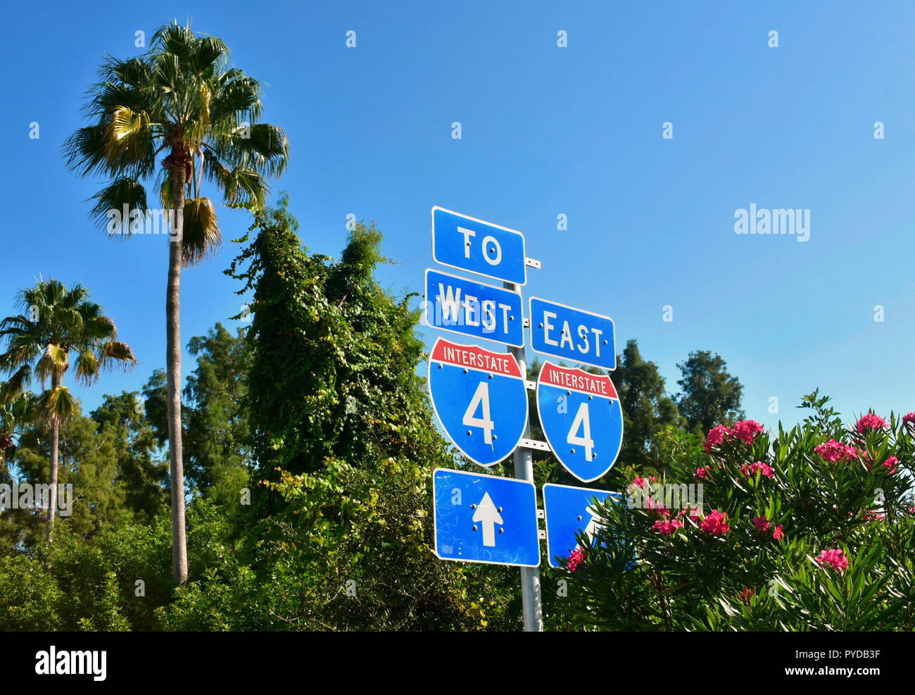 Interstate 4 East verso Orlando e autostrada ovest a Tampa autostrada. Splendide palme e cielo backround. Foto Stock