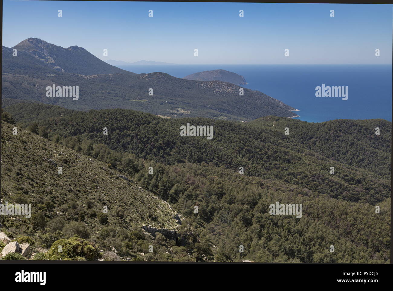 Le boscose pendici del monte Attaviros - principalmente Cipresso Mediterraneo - sulla costa occidentale di Rodi, Grecia. Foto Stock
