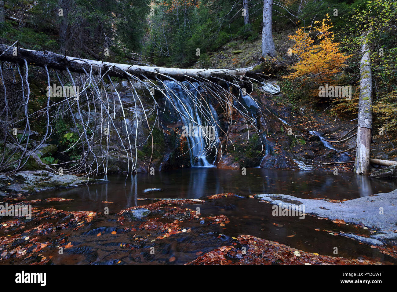 Тhе Wаtеrfаllѕ Саnуоn Foto Stock