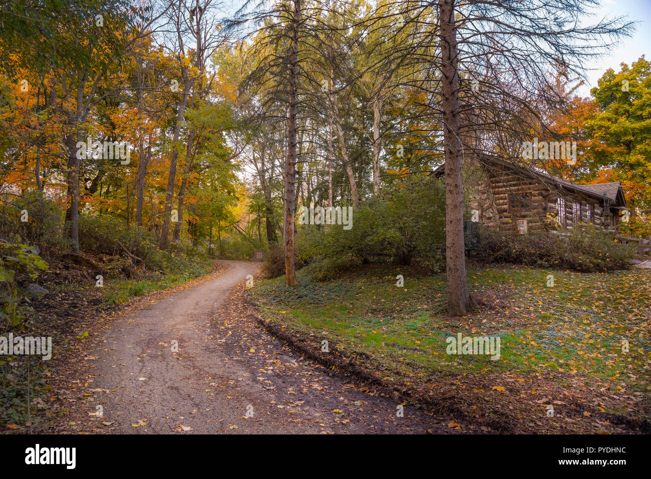 Sentiero forestale in un parco Foto Stock