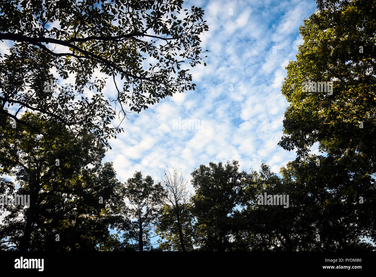 I cieli di ispirazione Foto Stock