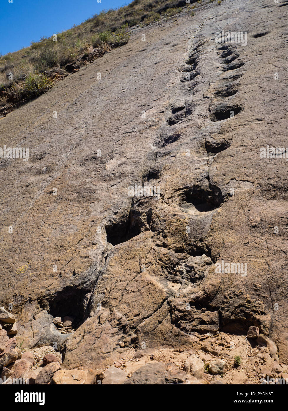 Footprint di dinosauri in Toro Toro, Bolivia. Dinosauro erbivoro Foto Stock