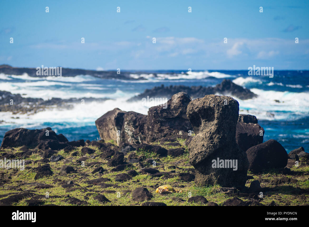 Poco moai vicino a Ahu Akahanga nell isola di pasqua caduto moais Foto Stock