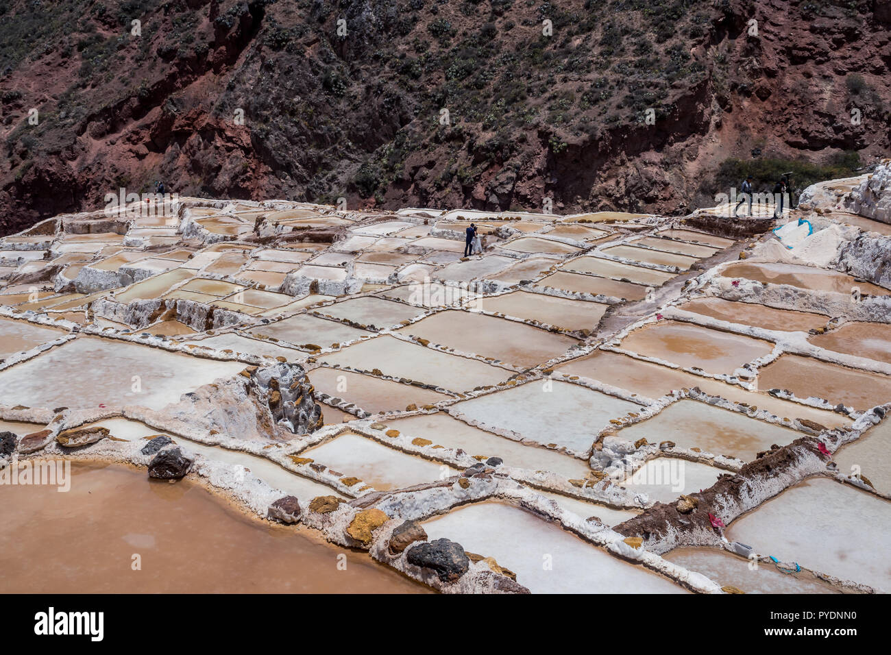 Salineras de Maras è una miniera di sale vicino a Cusco, Peruggg Foto Stock