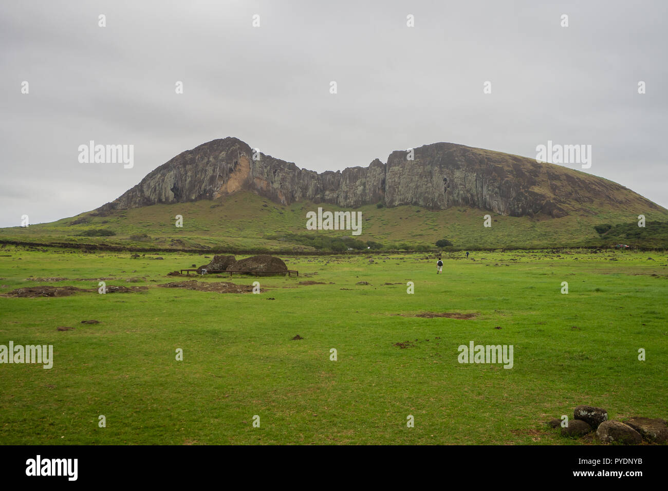 Vista panoramica di Rano Raraku vulcano , il moai cava in Isola di Pasqua, verdi campi Foto Stock