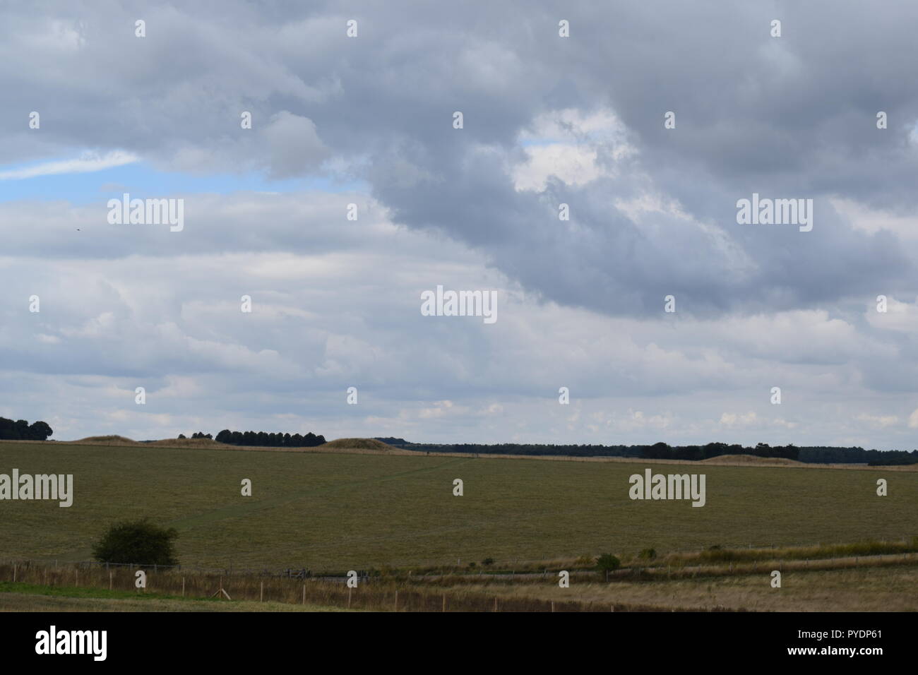 Stonehenge e la sua bellezza Foto Stock