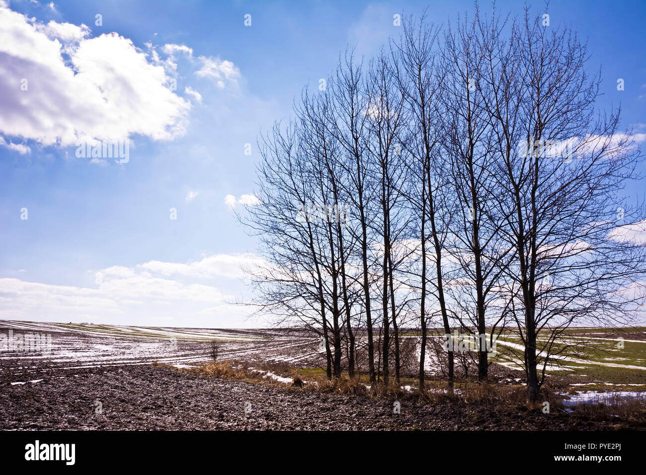 Un campo arato coperte di neve in primavera in un giorno chiaro. Foto Stock