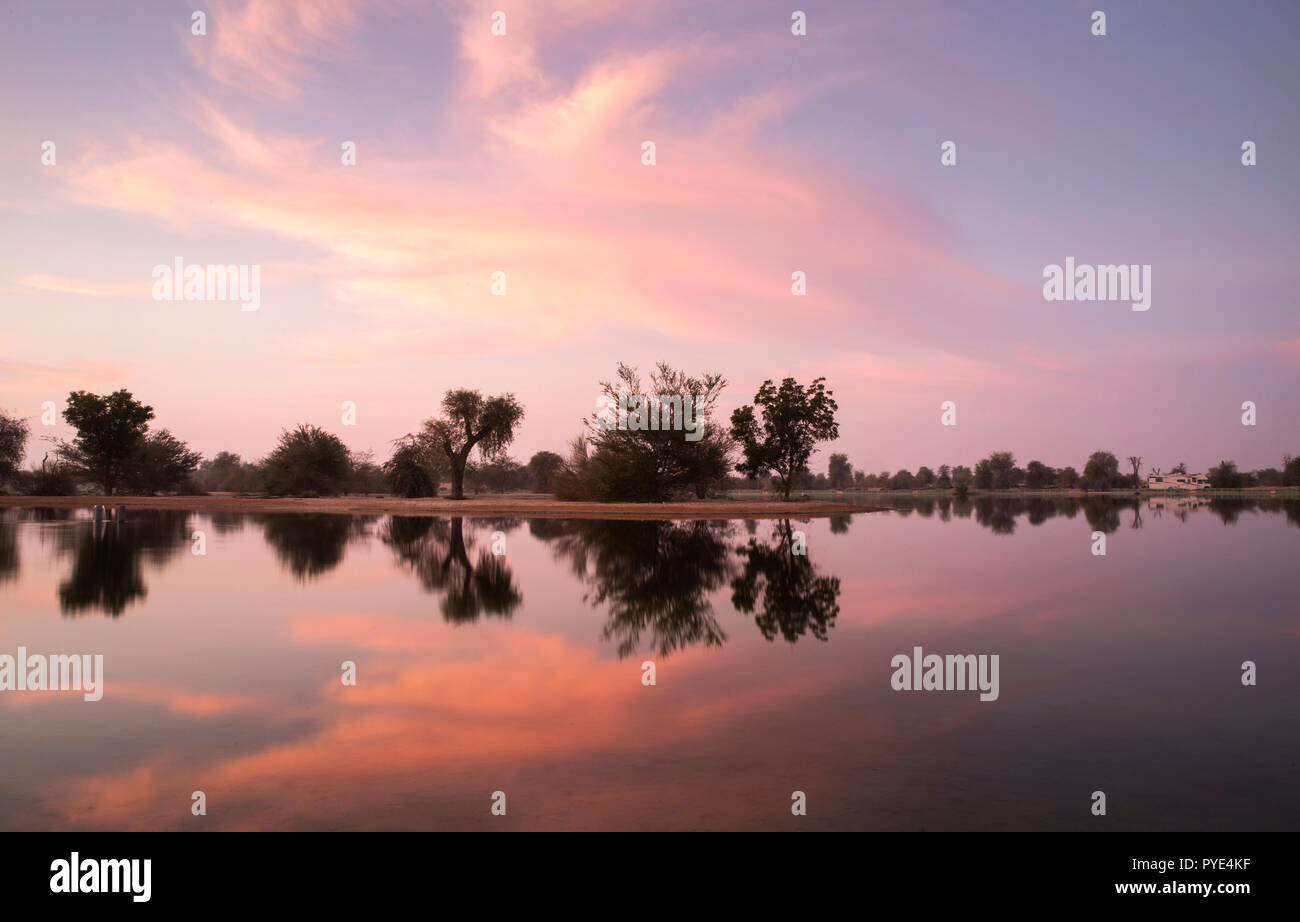 Sunraise in Al Qudra riserva del lago, vicino a Dubai Foto Stock