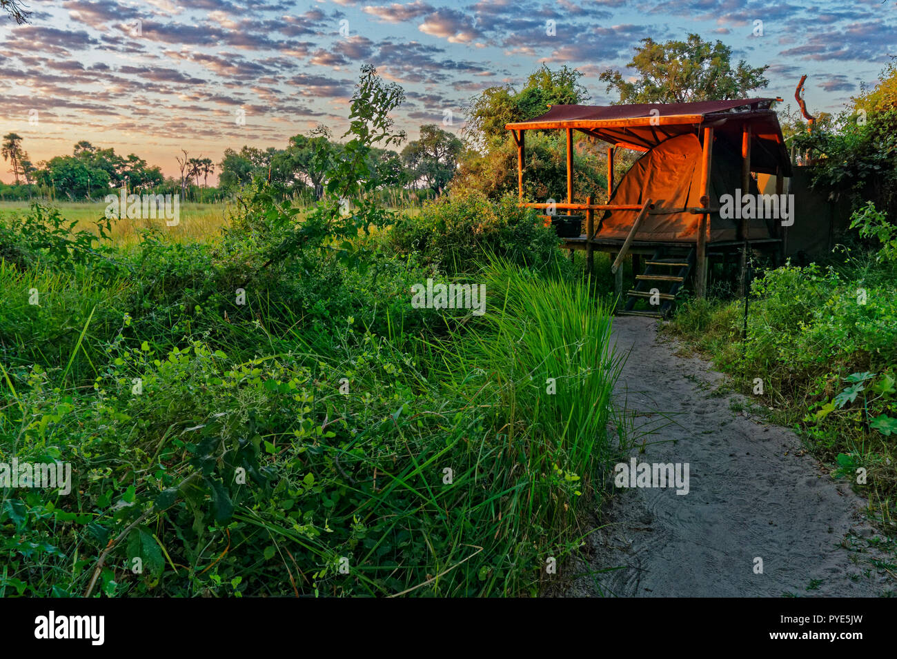 Campeggio Glamping, affacciato sul Delta dell'Okavango, Botswana Foto Stock