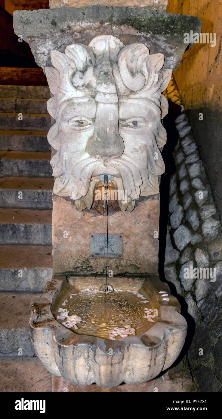 Gargoyle fontana di acqua al di fuori della cattedrale di Palma de Mallorca, Spagna Foto Stock