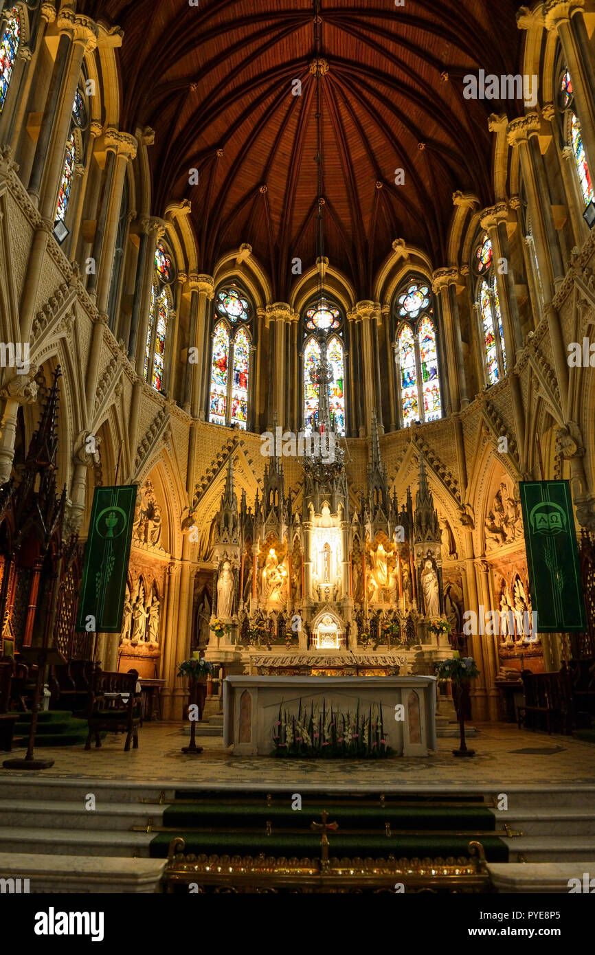 Interno della St Coleman's Cathedral, Cobh, nella contea di Cork, Repubblica di Irlanda Foto Stock