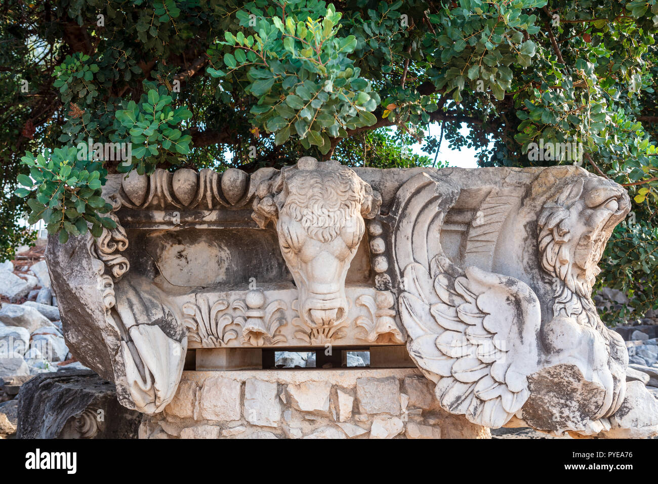 Dettagli architettonici con la testa di un toro a Didyma Tempio di Apollo, Turchia. Foto Stock