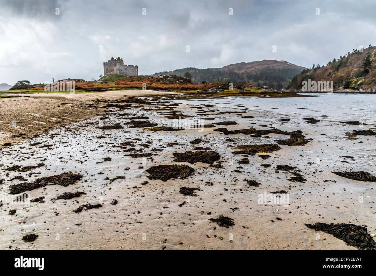 Le rovine del Clan MacDonalds il castello del XIII secolo Tioram sulle rive di Loch Moidart nel Western Highlands scozzesi Foto Stock