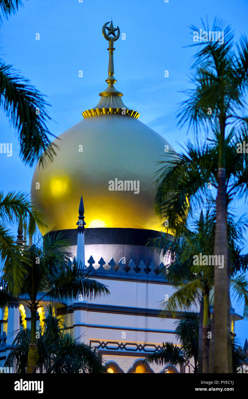 Arab Street Singapore vista notturna Foto Stock