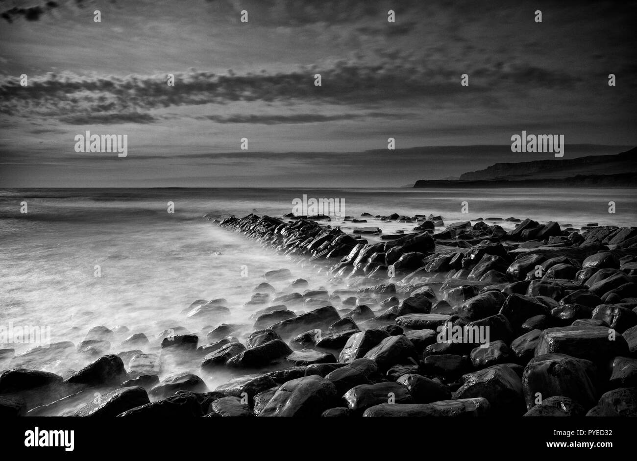 Misty guardando il mare che lambisce umido rocce lucido a Kimmeridge nel Dorset, England, Regno Unito Foto Stock
