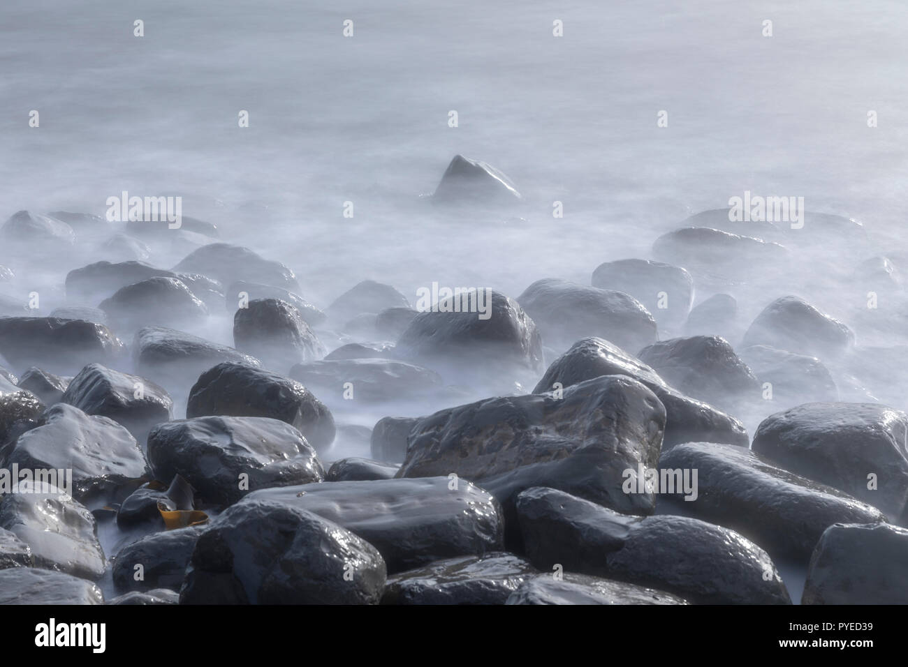 Misty guardando il mare che lambisce umido rocce lucido a Kimmeridge nel Dorset, England, Regno Unito Foto Stock