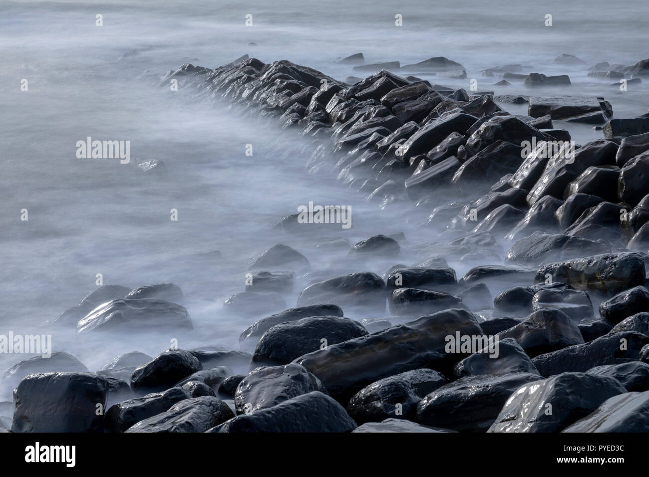 Misty guardando il mare che lambisce umido rocce lucido a Kimmeridge nel Dorset, England, Regno Unito Foto Stock