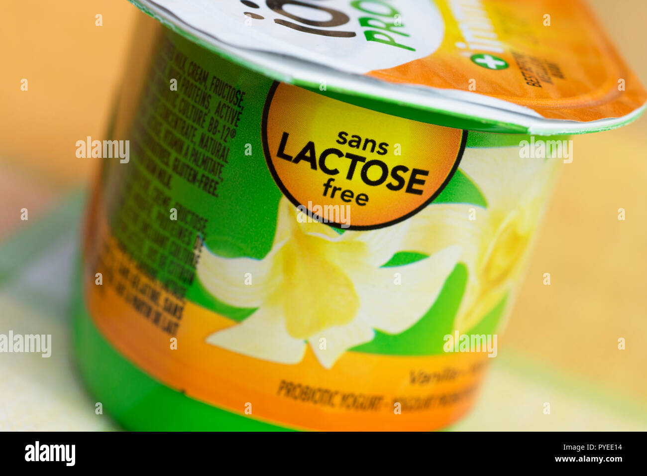 Senza lattosio Yogurt Foto Stock