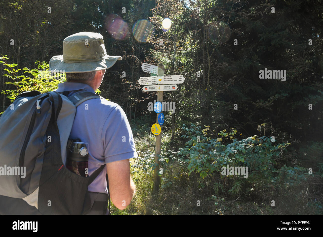 Escursionista controllo segnavia segno nella foresta nera in Germania, Europa Foto Stock