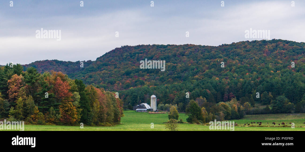 Banner orizzontale di un ranch di bestiame con i brillanti colori autunnali di caduta delle foglie nelle colline dietro Foto Stock