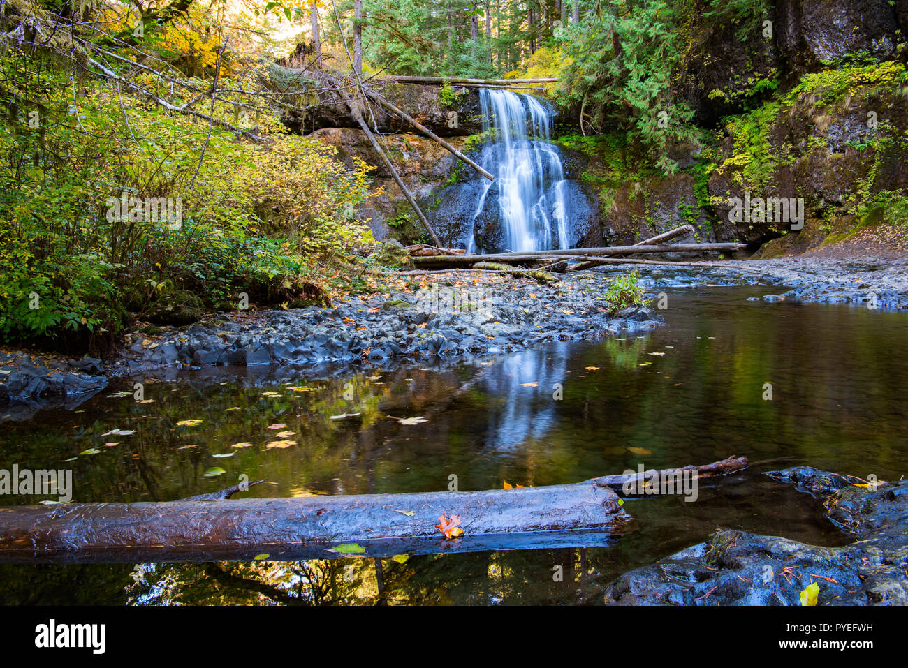 Nord superiore scende a Silver Falls state park, Oregon, Stati Uniti d'America Foto Stock