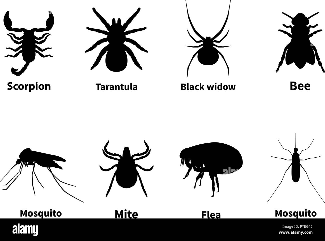 Sagome di nocivi insetti urticante Illustrazione Vettoriale