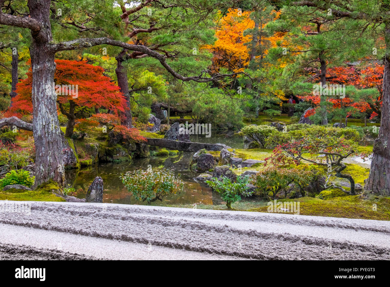 Famoso Ginkaku-ji (Padiglione di Argento) ufficialmente denominata Jishō-ji ("tempio di misericordia splendente") a giornata autunnale, Kyoto, Kansai, Giappone Foto Stock