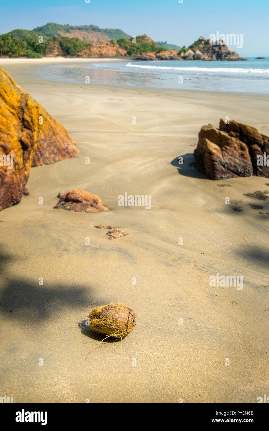 Spiaggia deserta in nello stato di Maharashtra, India, con noce di cocco in primo piano Foto Stock