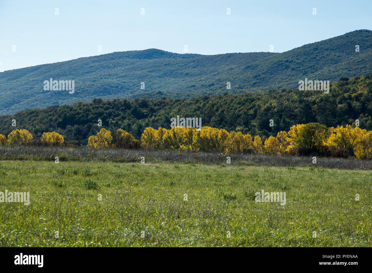 Campo di Knin, Croazia Foto Stock