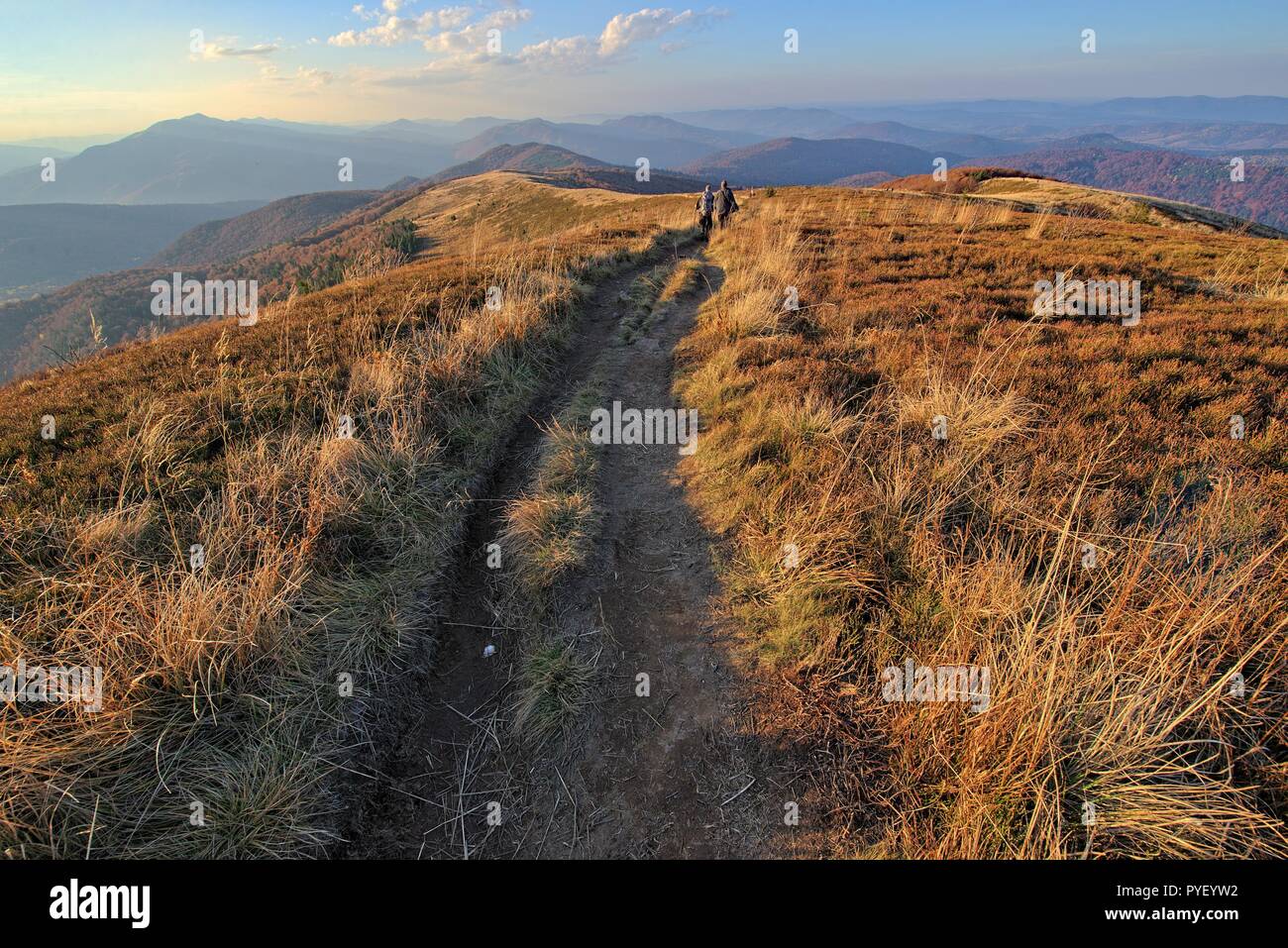 In Autyumn polsih monti Bieszczady Foto Stock