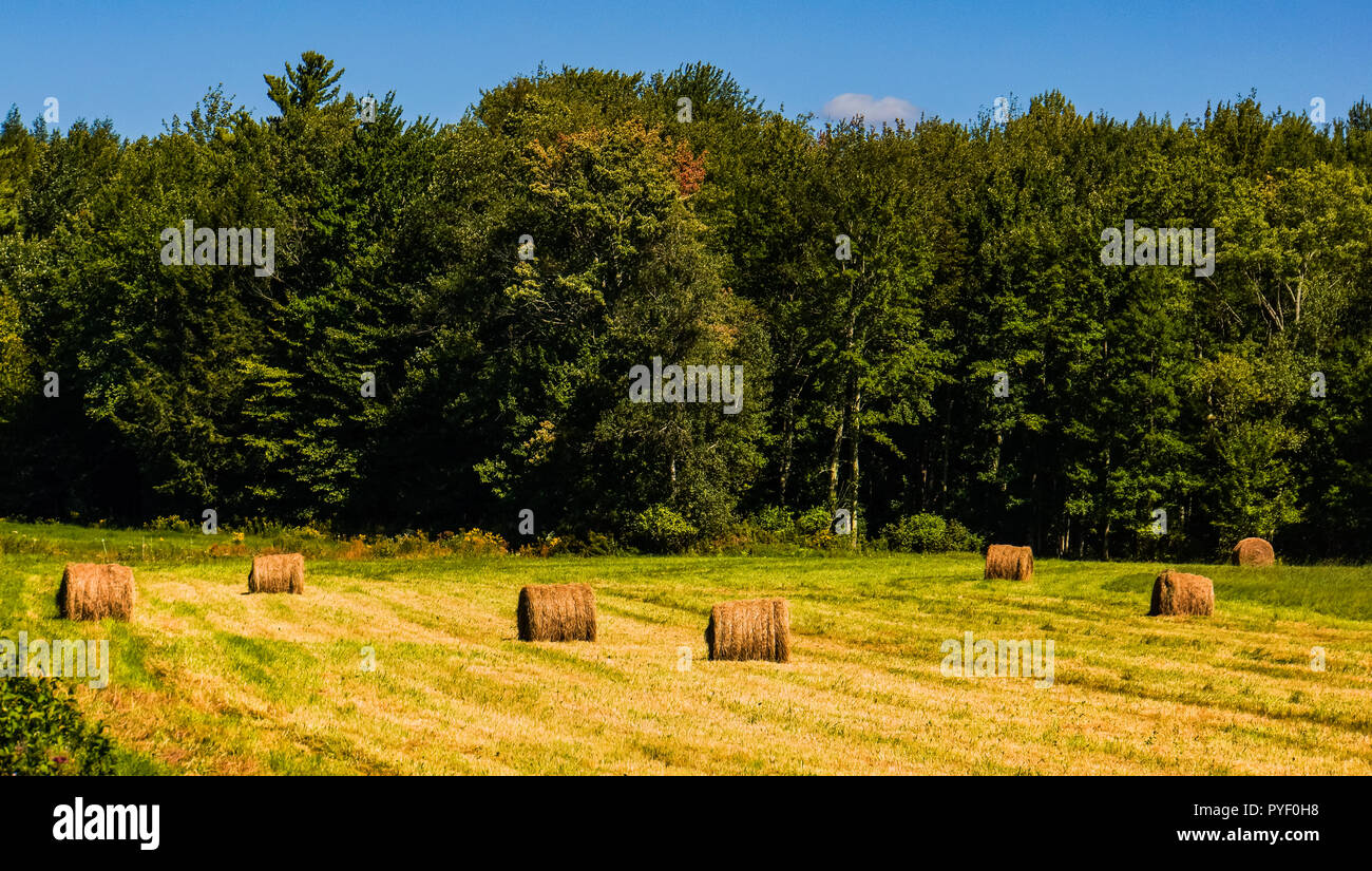 Le balle di fieno a sinistra sui campi dopo la falciatura in tarda estate nel Vermont Foto Stock
