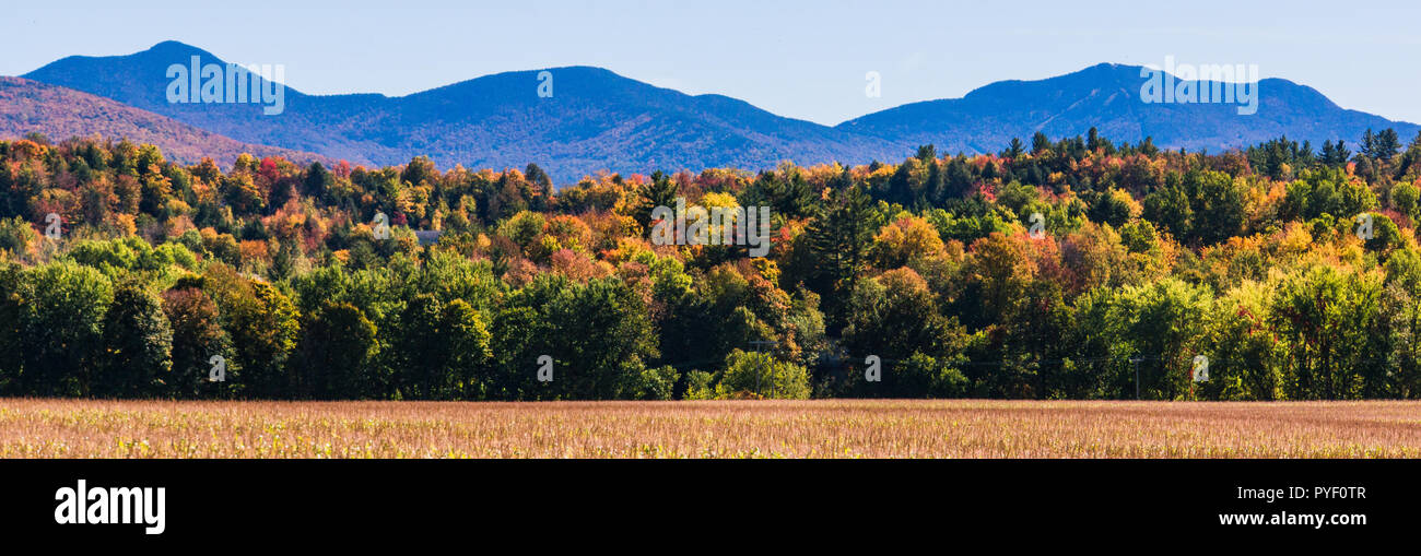 Campo di mais con le colline e i monti vestito in luminosi colori autunnali di caduta delle foglie Foto Stock