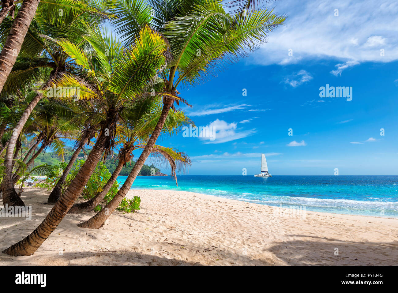 Spiaggia esotica e una barca a vela nel mare turchese Foto Stock