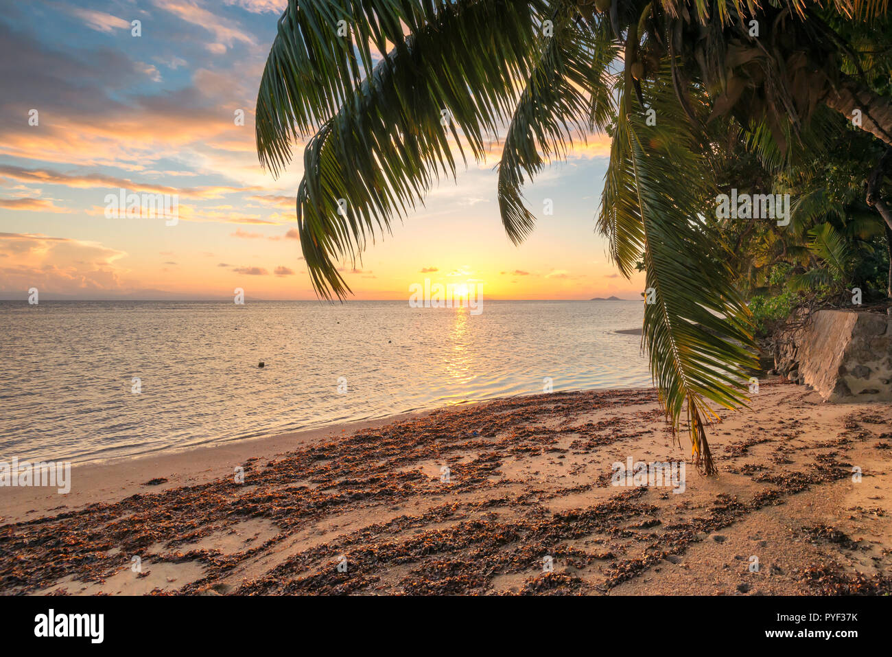 Palme sulla spiaggia tropicale al tramonto. La vacanza estiva e il concetto di viaggio. Foto Stock