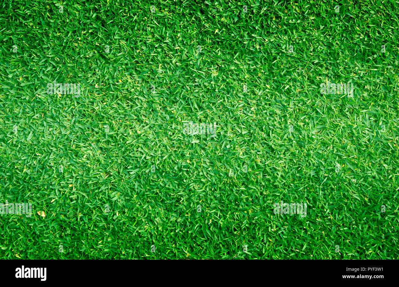 Erba verde natura outdoor pattern di sfondo a trama. Foto Stock