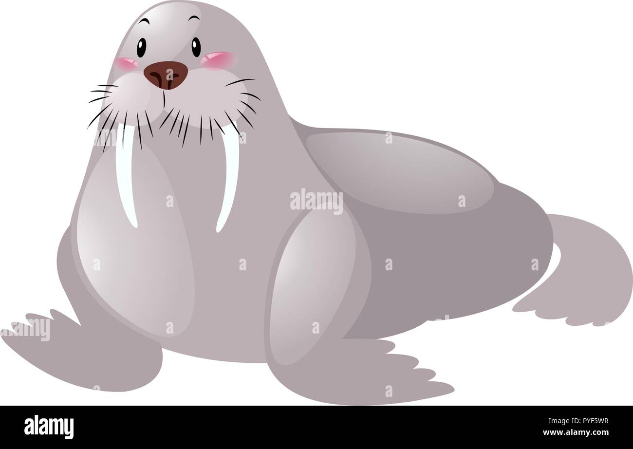 Carino tricheco su sfondo bianco illustrazione Illustrazione Vettoriale