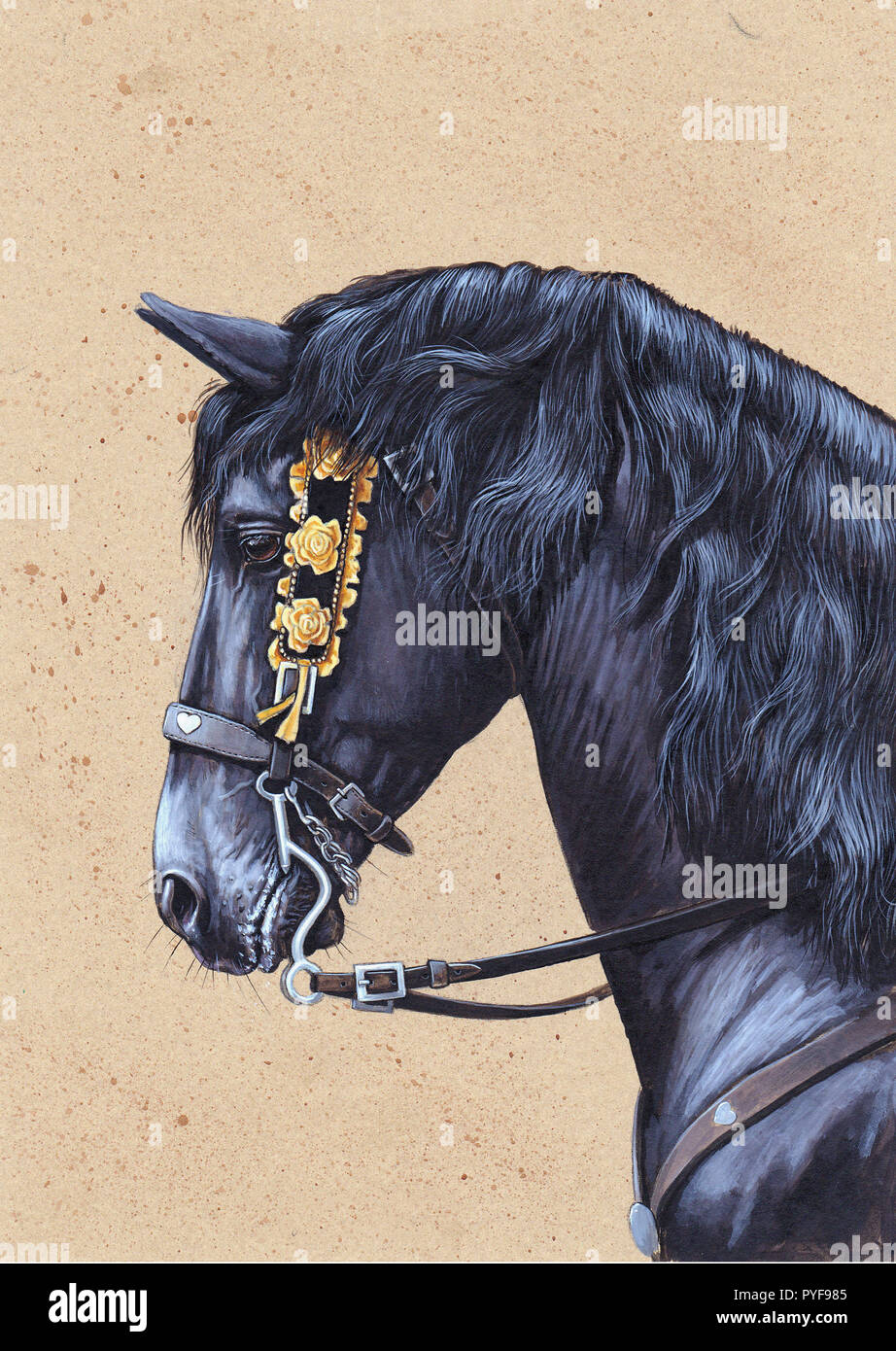 Cavallo nero friesiano. Illustrazione della mostra dei cavalli. Ritratto di stallone nero. Foto Stock