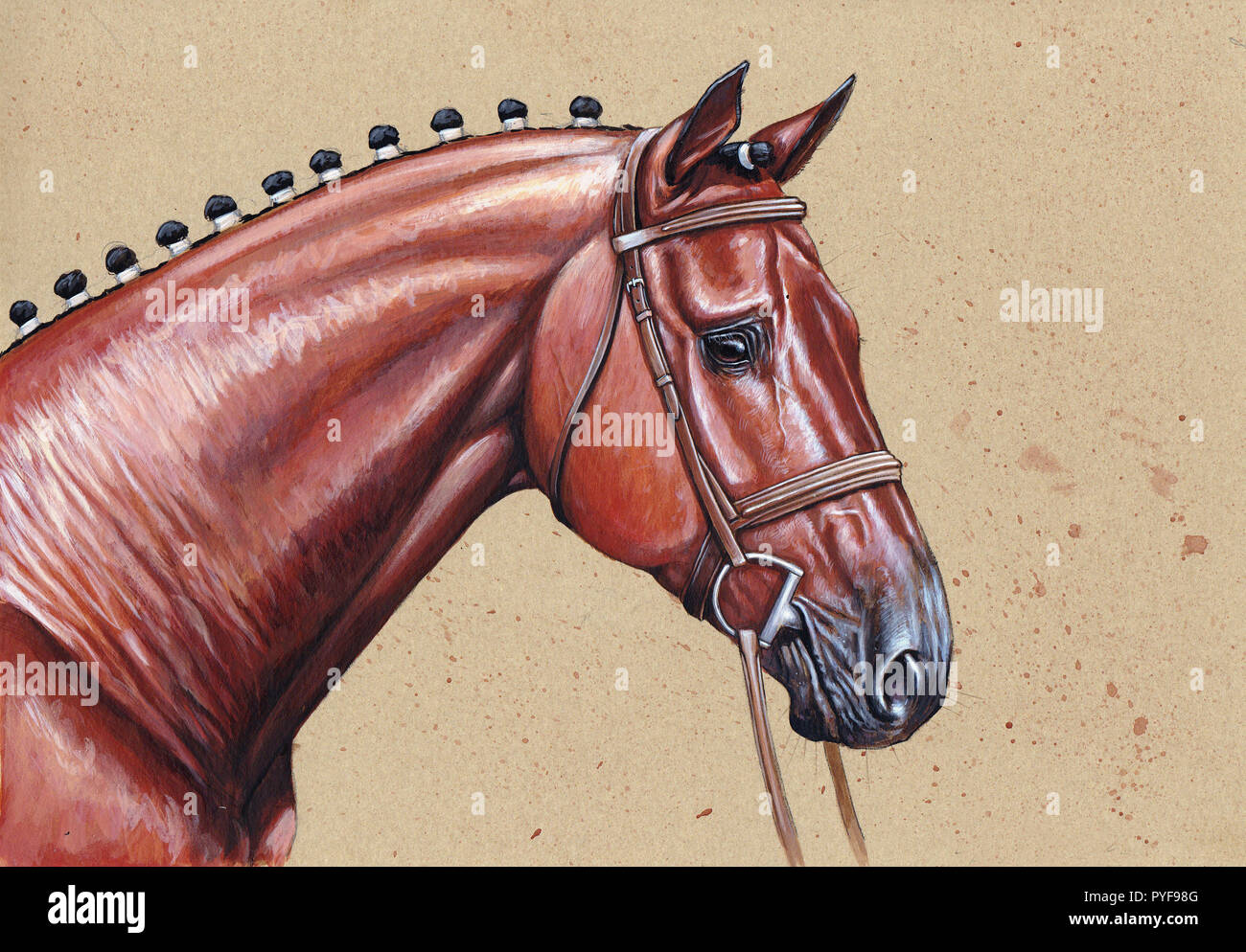 Illustrazione del cavallo marrone. Purosangue prima della gara. Cavallo ritratto. Foto Stock