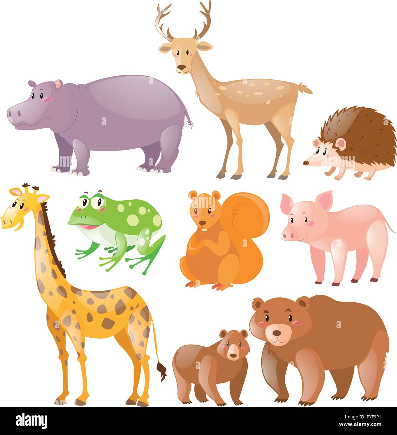 Diversi tipi di animali selvatici di illustrazione Illustrazione Vettoriale
