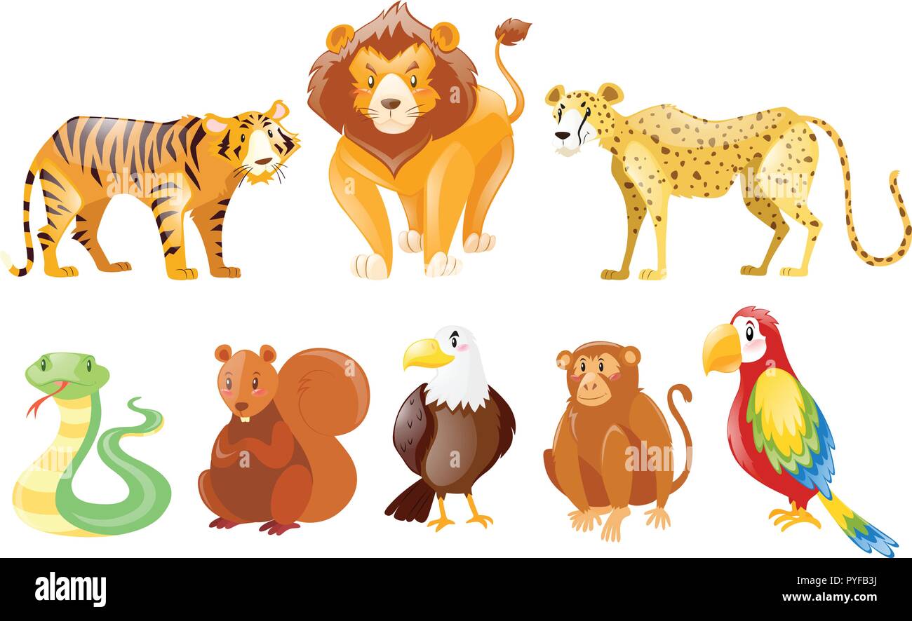 Insieme di diversi animali selvatici illustrazione Illustrazione Vettoriale