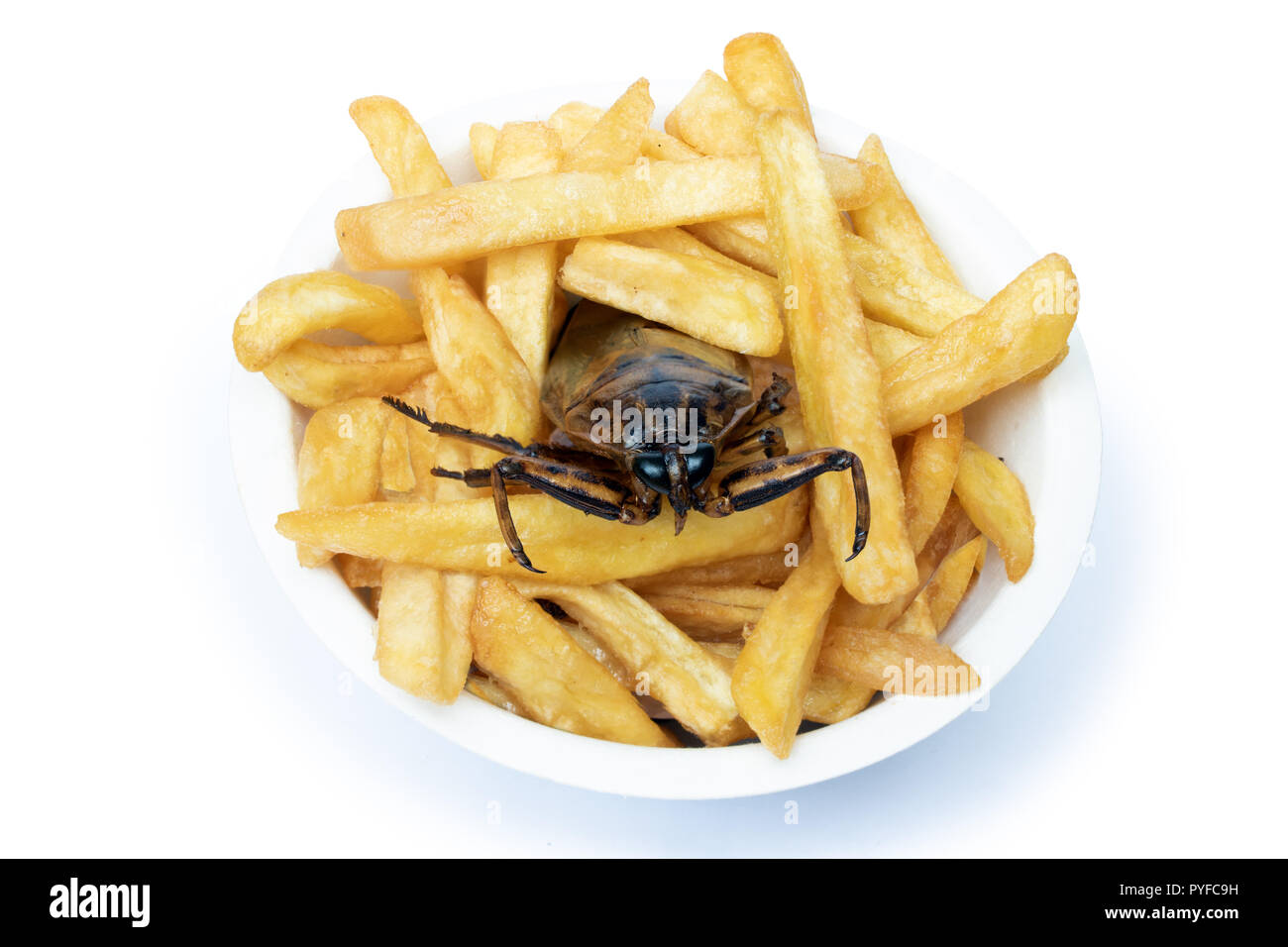 Offerta di fast food con insetti commestibili. Un scarafaggio fritto con  patatine fritte in tazza Foto stock - Alamy