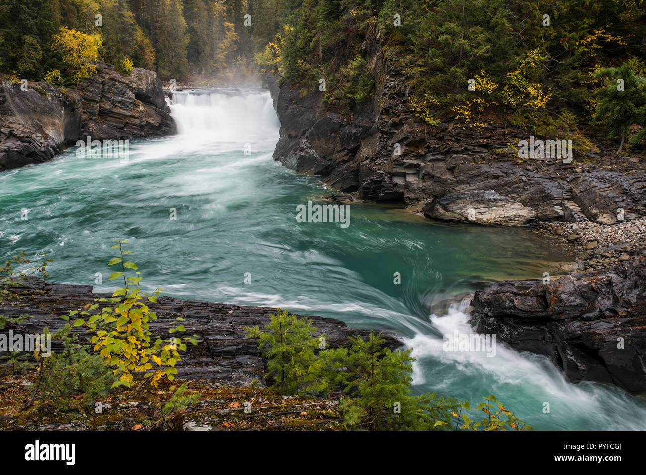 Overlander falls, Fraser Fiume, Monte Robson Provincial Park, British Columbia, Canada, da Bruce Montagne/Dembinsky Foto Assoc Foto Stock