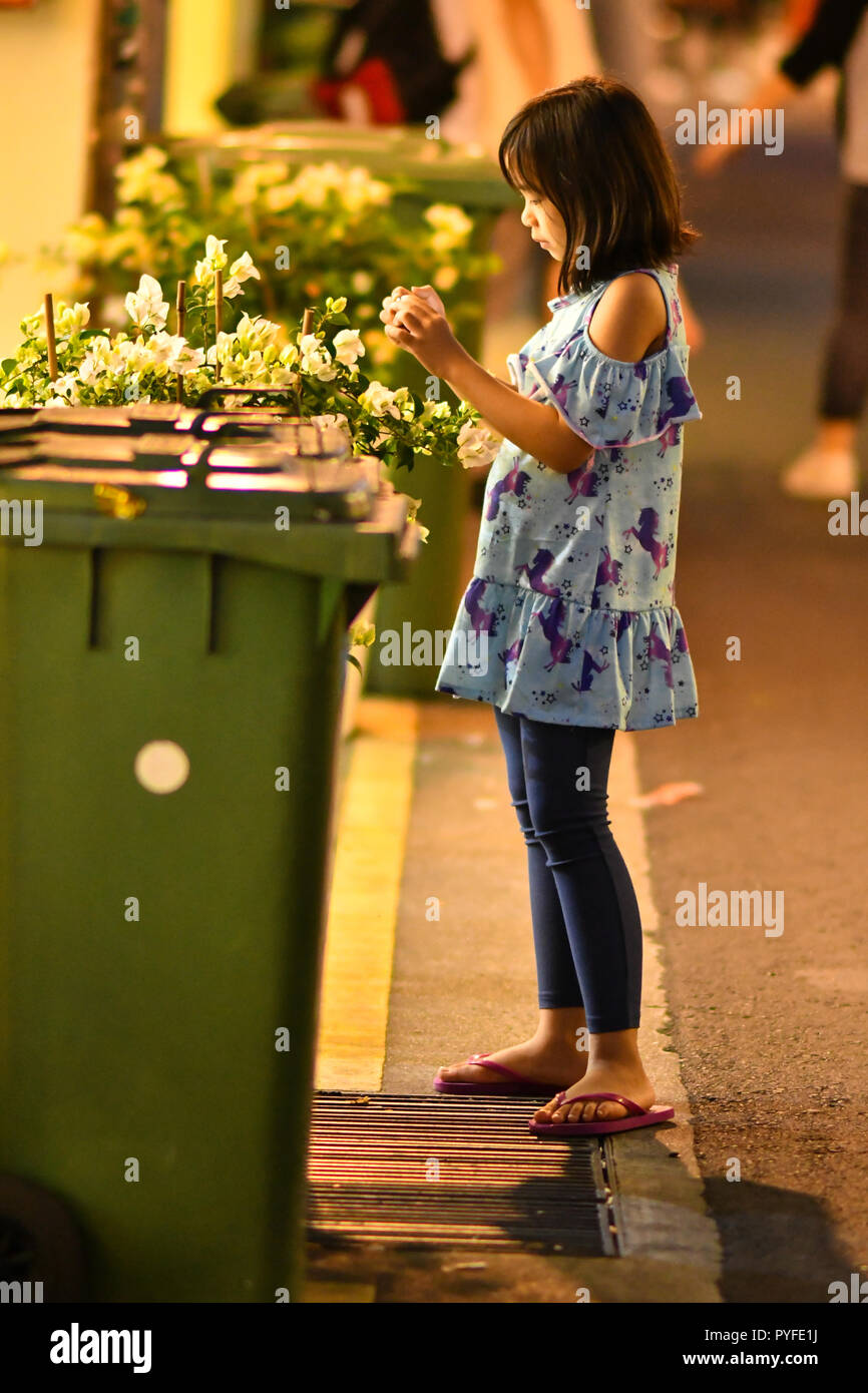 Arab Street Singapore vista notturna Foto Stock