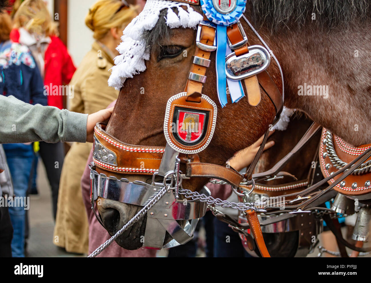 Cavallo testa decorata closeup, Oktoberfest, Baviera Monaco di Baviera Foto Stock