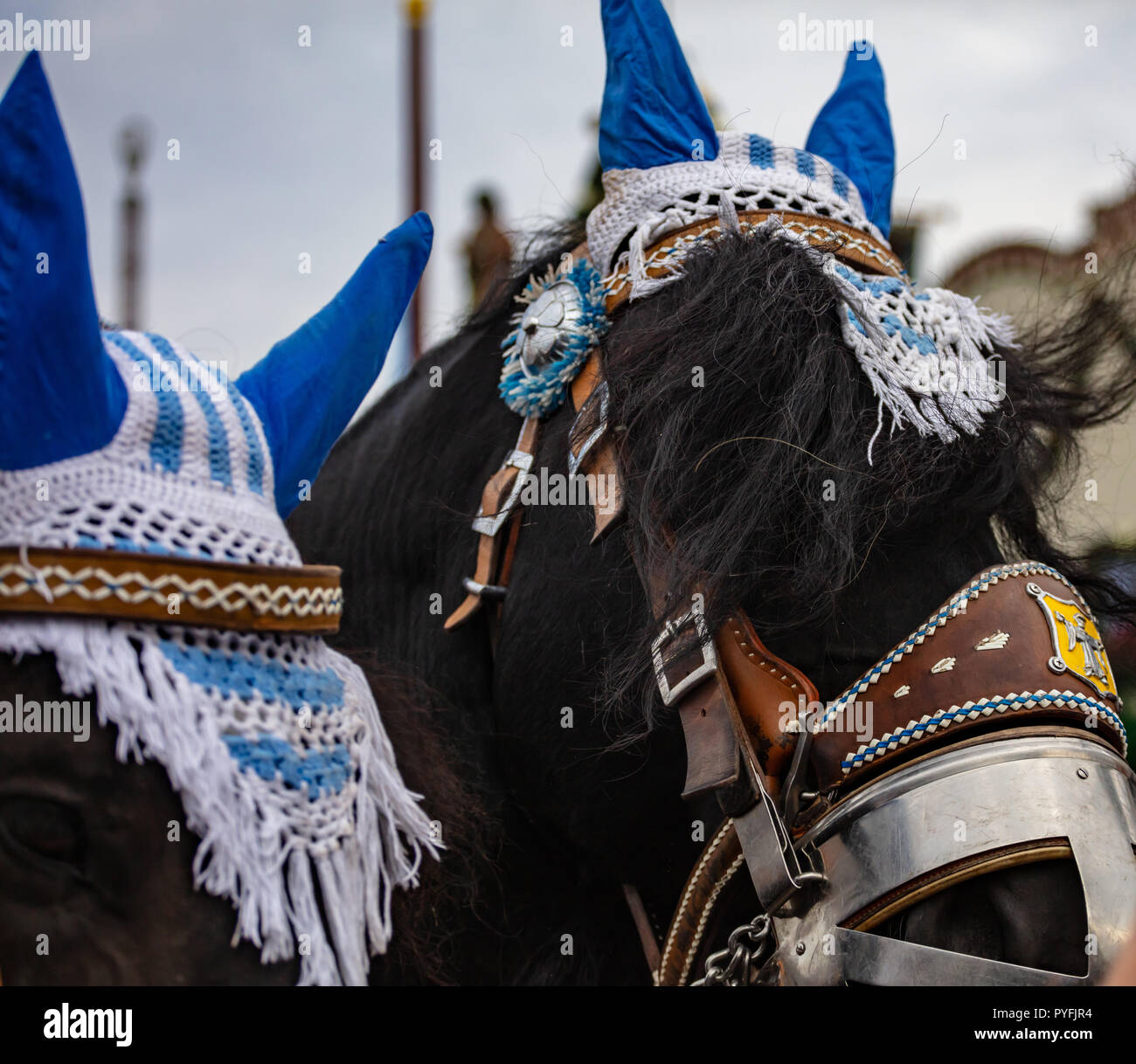 Horse decorate capi closeup, Oktoberfest, Baviera Monaco di Baviera Foto Stock
