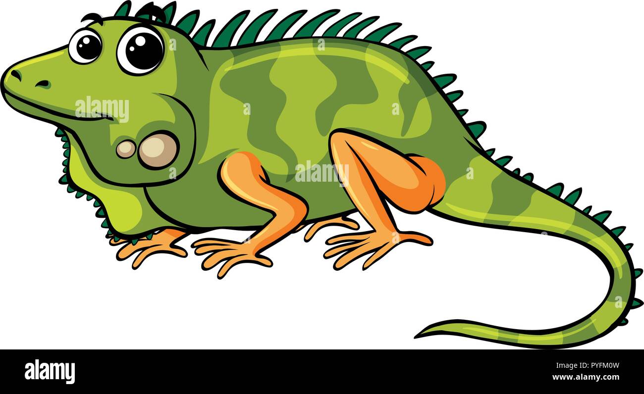 Iguana verde su sfondo bianco illustrazione Illustrazione Vettoriale