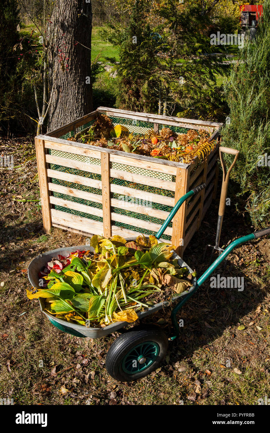 Immagine del compost bin in giardino d'autunno Foto Stock