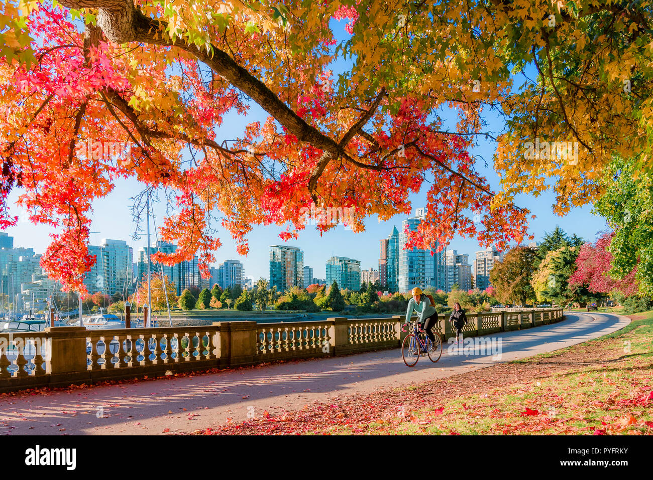 Autunno a colori, Stanley Park seawall, Vancouver, British Columbia, Canada. Foto Stock