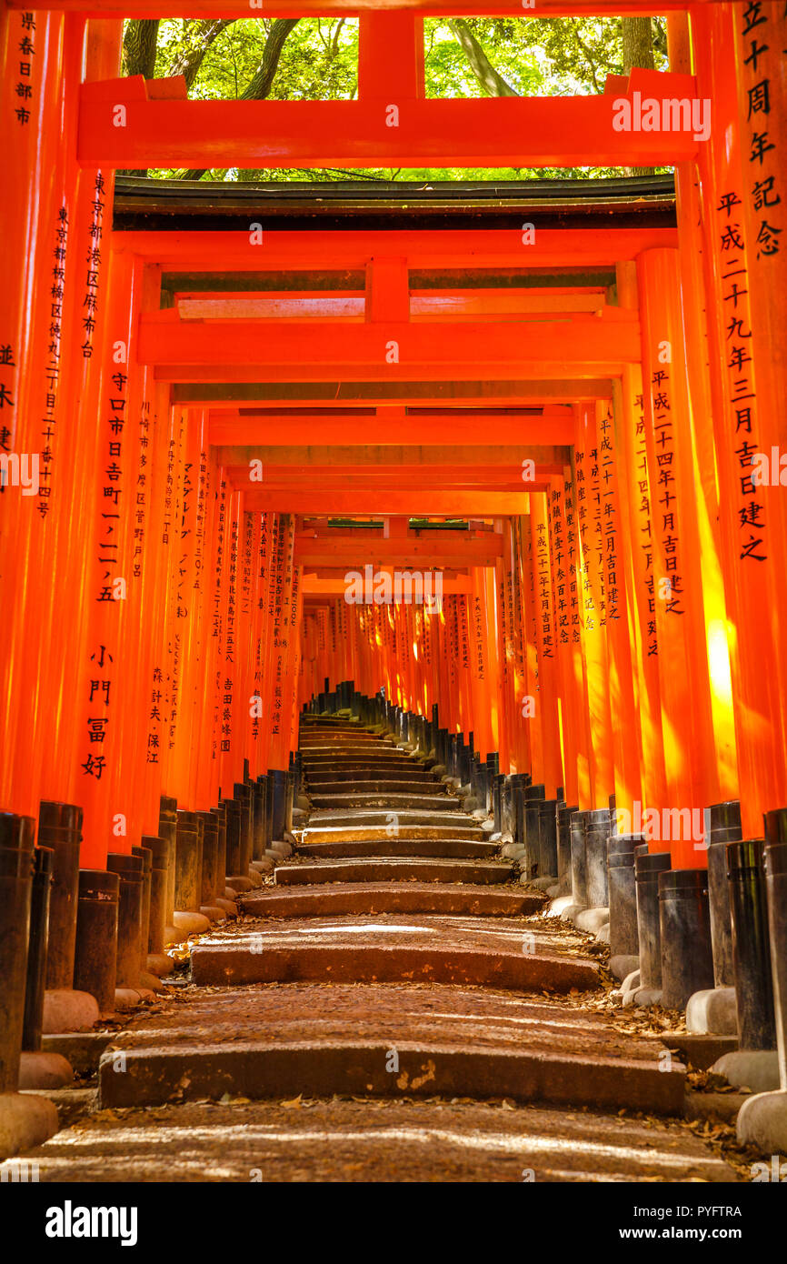 Kyoto, Giappone - 28 Aprile 2017: Torii gates di Fushimi Inari taisha, un santuario shintoista dedicato allo Spirito di Inari, situato in Fushimi-ku, a sud di Kyoto, Giappone. Colpo verticale. Foto Stock